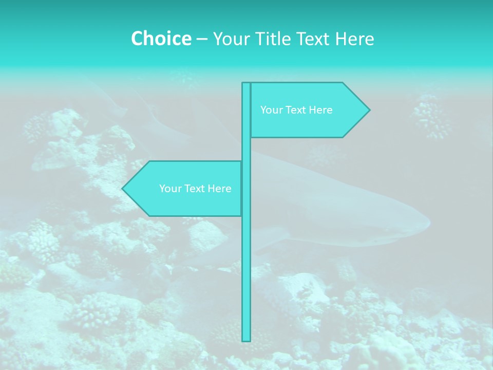 Fotosub Buceo Oceania PowerPoint Template