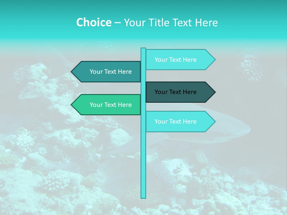 Fotosub Buceo Oceania PowerPoint Template