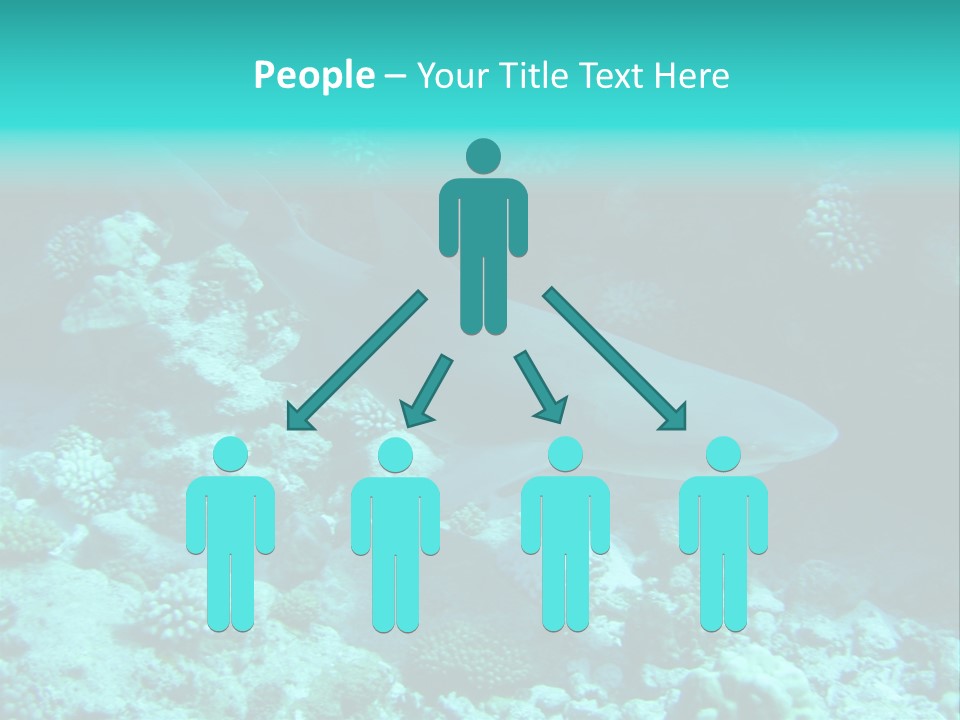 Fotosub Buceo Oceania PowerPoint Template