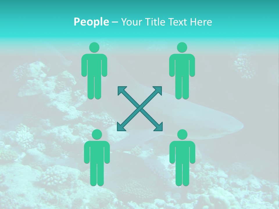 Fotosub Buceo Oceania PowerPoint Template