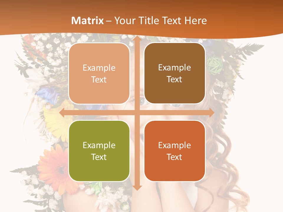 Isolated Beautiful Gerbera PowerPoint Template