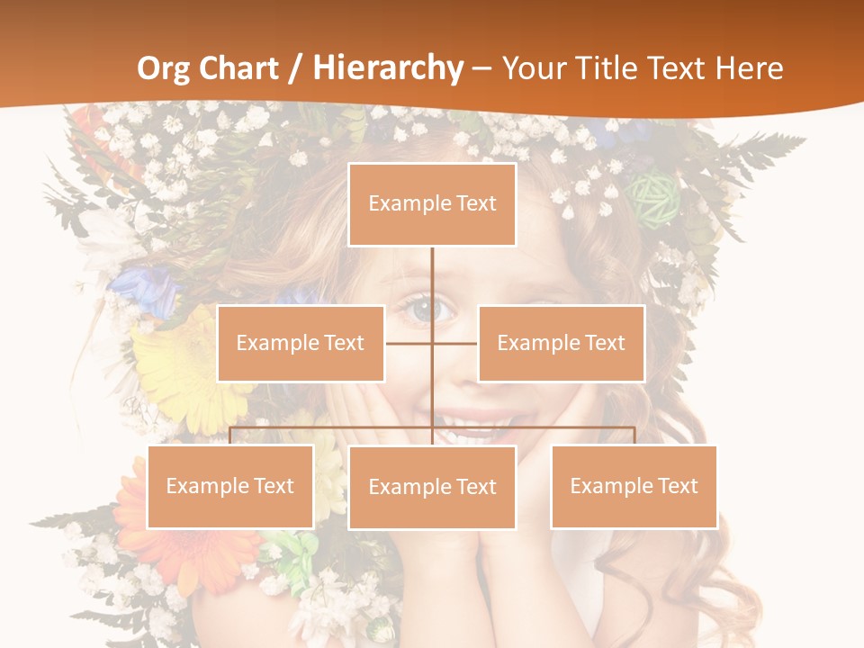 Isolated Beautiful Gerbera PowerPoint Template