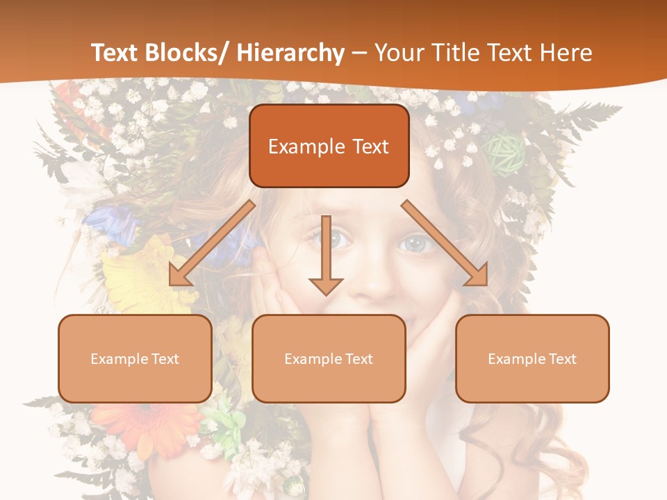 Isolated Beautiful Gerbera PowerPoint Template