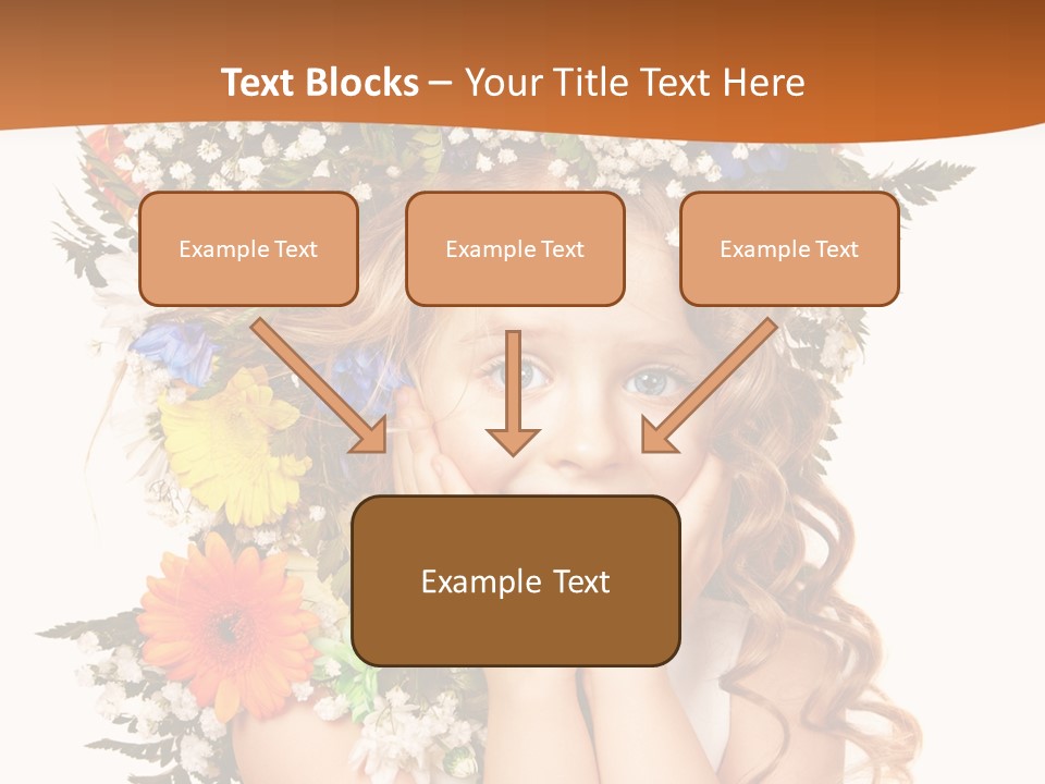 Isolated Beautiful Gerbera PowerPoint Template