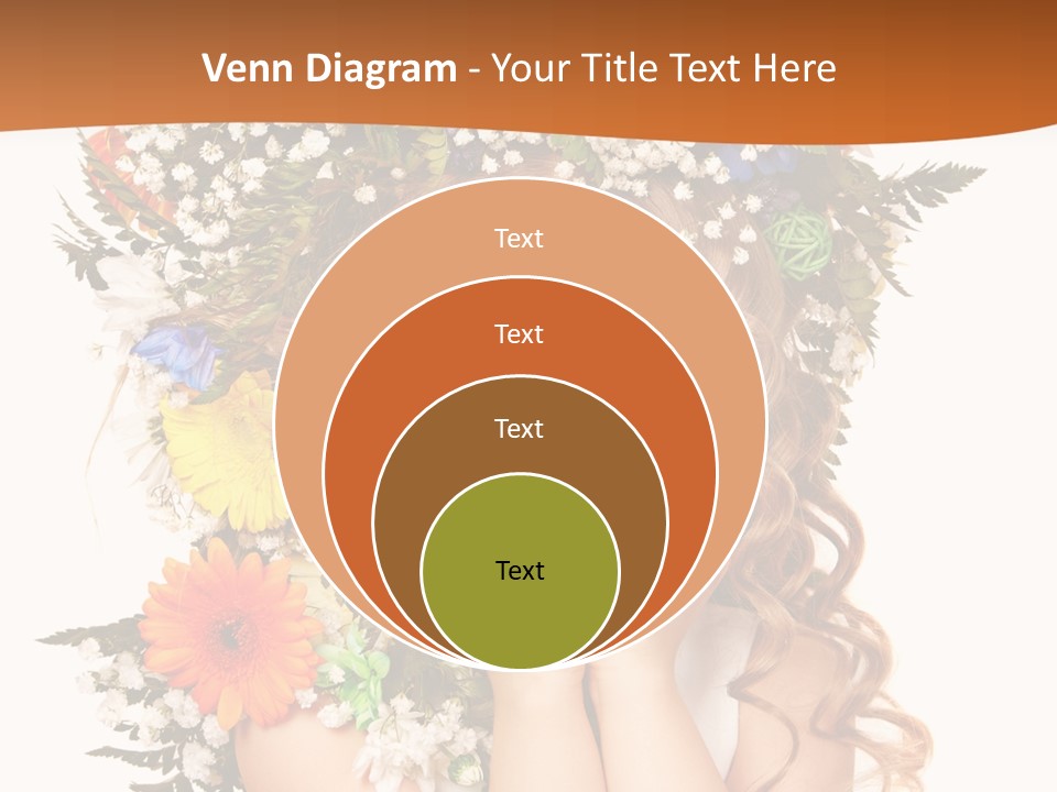 Isolated Beautiful Gerbera PowerPoint Template