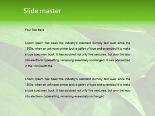 Cocotier Gouttes Feuillages PowerPoint Template