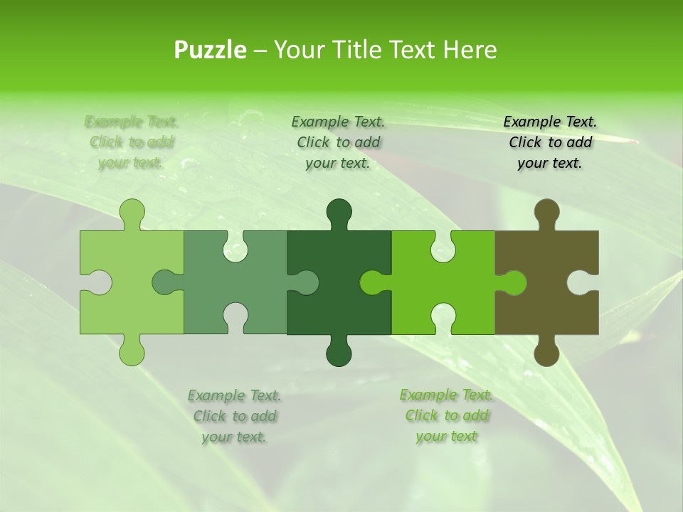 Cocotier Gouttes Feuillages PowerPoint Template