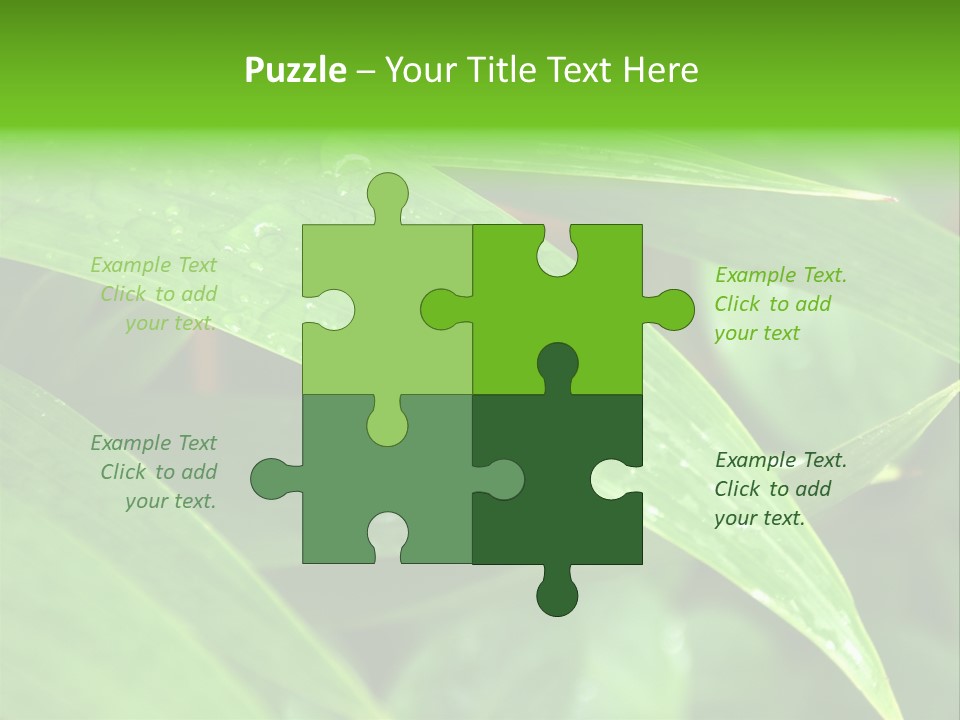 Cocotier Gouttes Feuillages PowerPoint Template