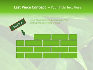 Cocotier Gouttes Feuillages PowerPoint Template