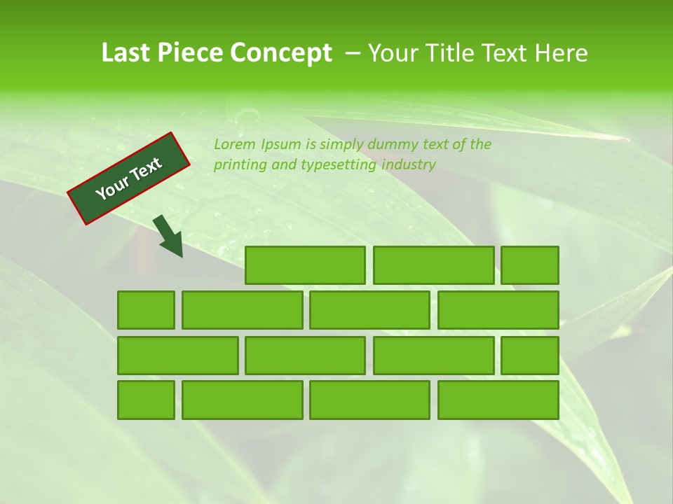 Cocotier Gouttes Feuillages PowerPoint Template