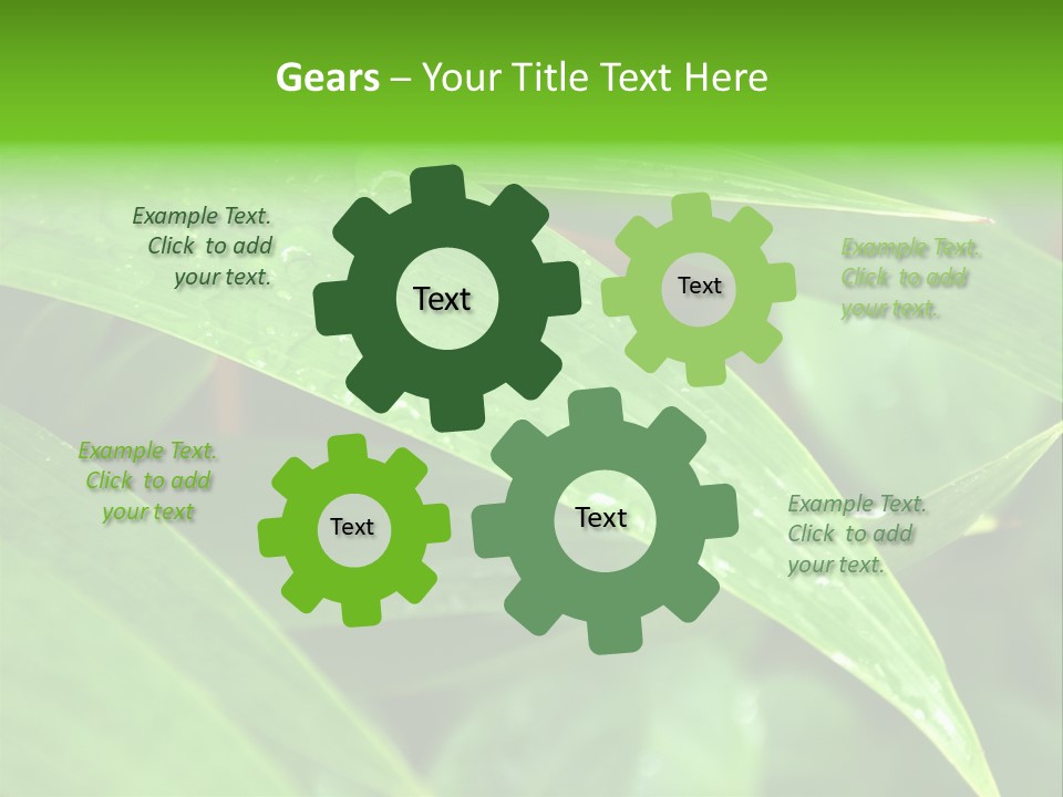 Cocotier Gouttes Feuillages PowerPoint Template