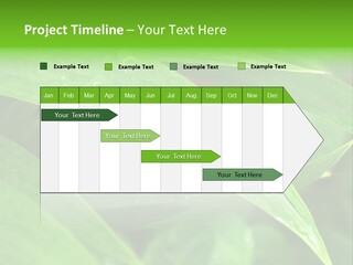 Cocotier Gouttes Feuillages PowerPoint Template