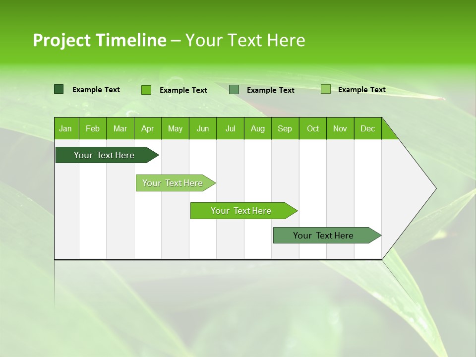 Cocotier Gouttes Feuillages PowerPoint Template