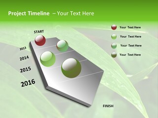 Cocotier Gouttes Feuillages PowerPoint Template