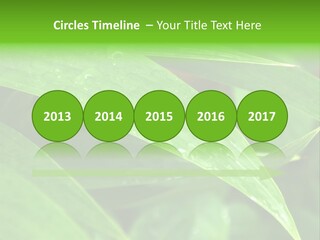 Cocotier Gouttes Feuillages PowerPoint Template