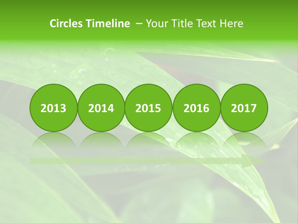 Cocotier Gouttes Feuillages PowerPoint Template