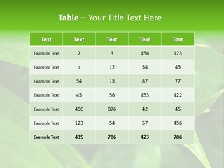 Cocotier Gouttes Feuillages PowerPoint Template
