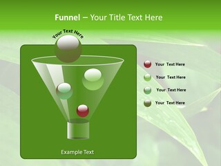 Cocotier Gouttes Feuillages PowerPoint Template