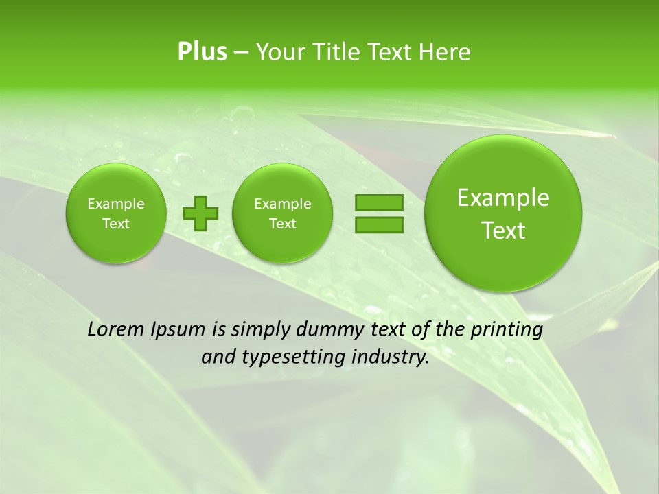 Cocotier Gouttes Feuillages PowerPoint Template