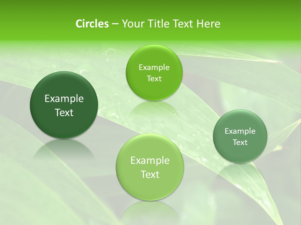 Cocotier Gouttes Feuillages PowerPoint Template