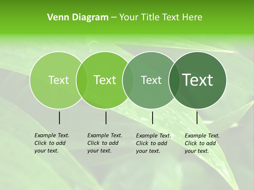 Cocotier Gouttes Feuillages PowerPoint Template