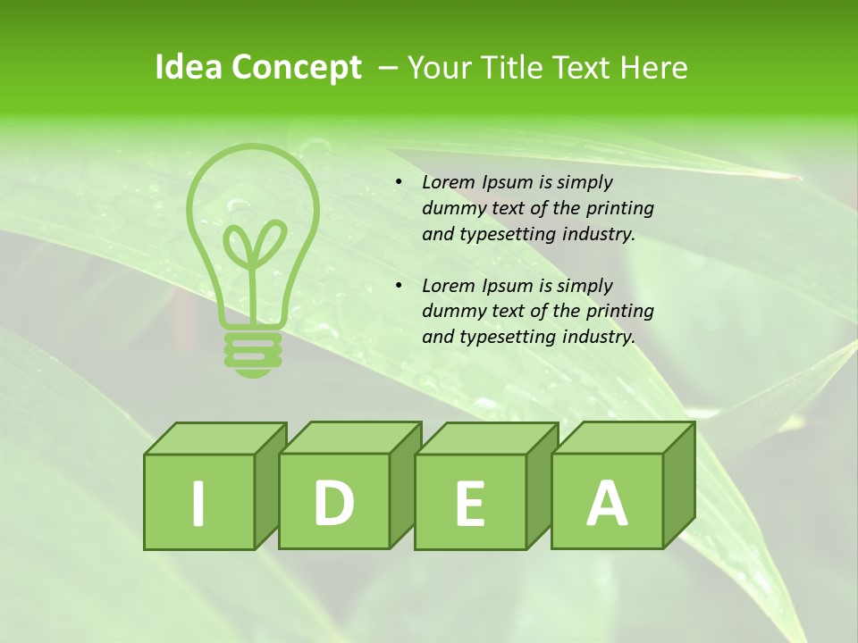 Cocotier Gouttes Feuillages PowerPoint Template
