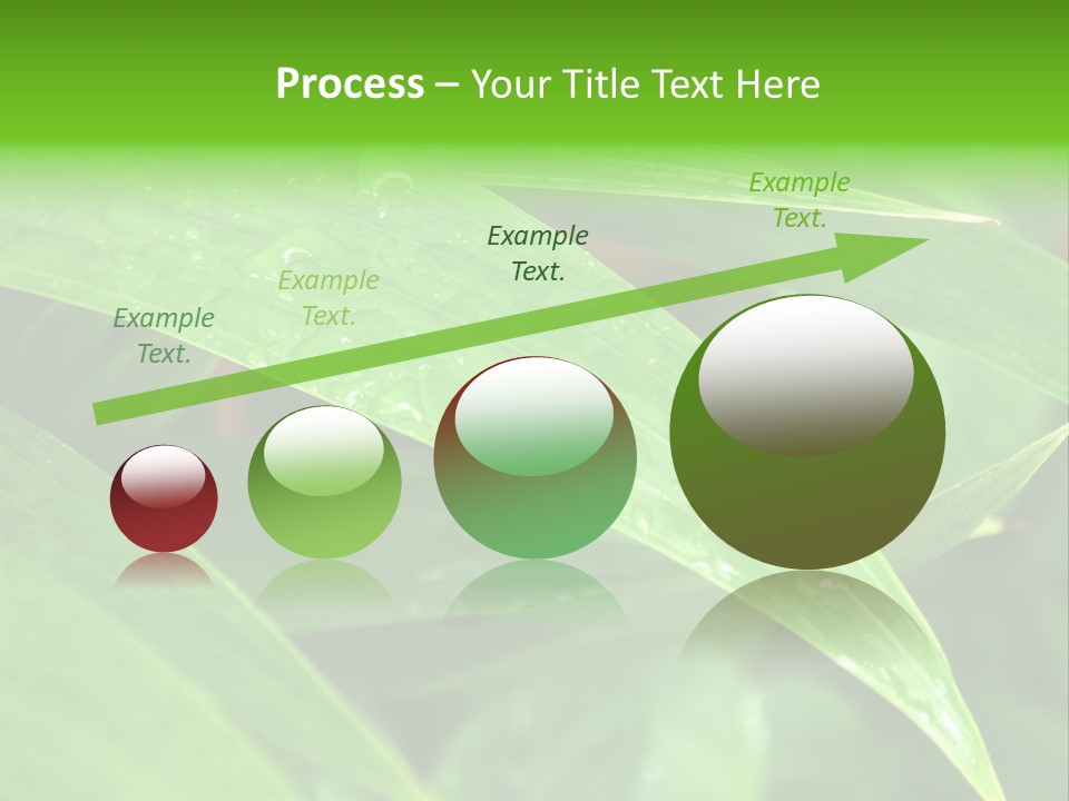 Cocotier Gouttes Feuillages PowerPoint Template