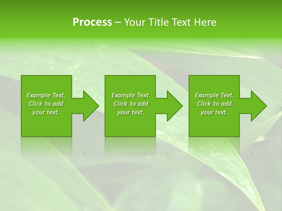 Cocotier Gouttes Feuillages PowerPoint Template