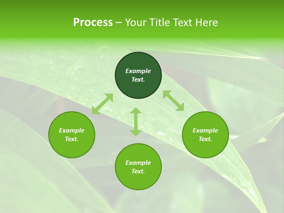 Cocotier Gouttes Feuillages PowerPoint Template