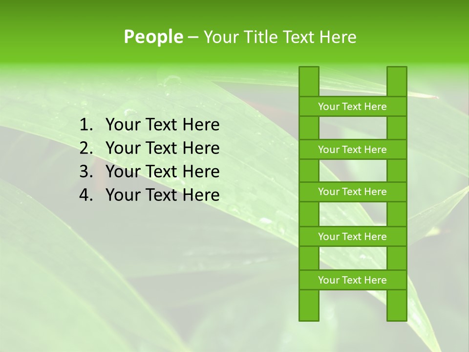 Cocotier Gouttes Feuillages PowerPoint Template