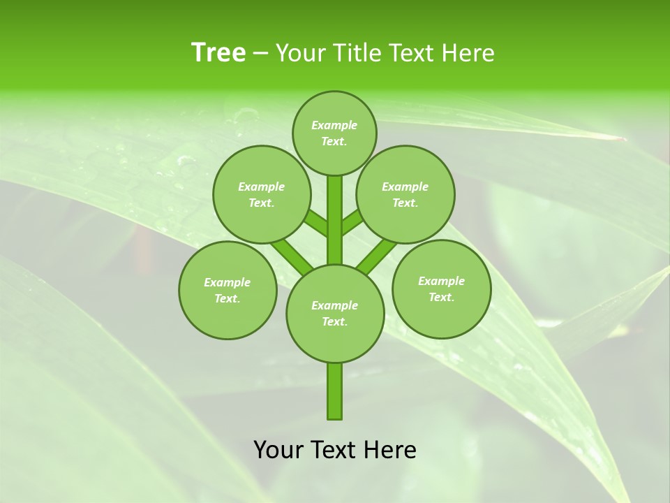 Cocotier Gouttes Feuillages PowerPoint Template