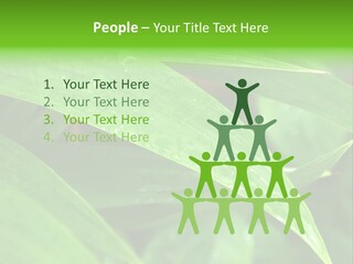 Cocotier Gouttes Feuillages PowerPoint Template