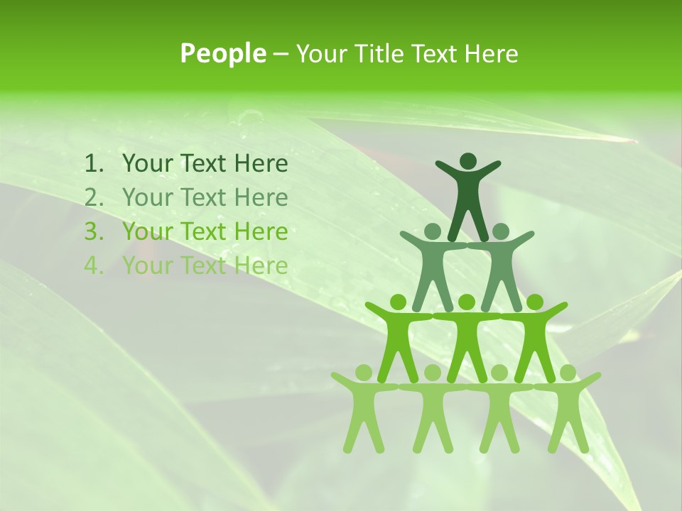 Cocotier Gouttes Feuillages PowerPoint Template