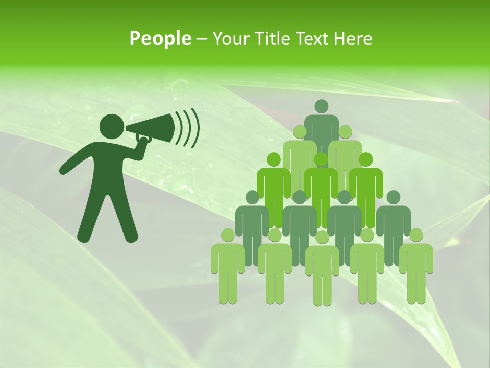 Cocotier Gouttes Feuillages PowerPoint Template
