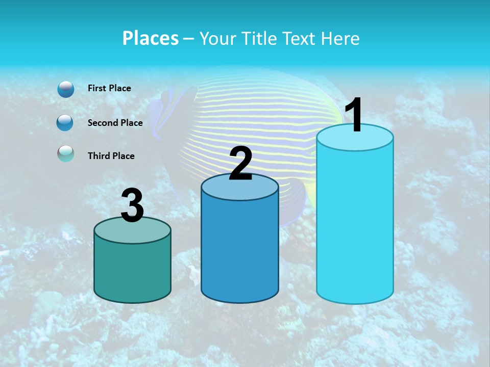 Wildlife Coral Egypt PowerPoint Template