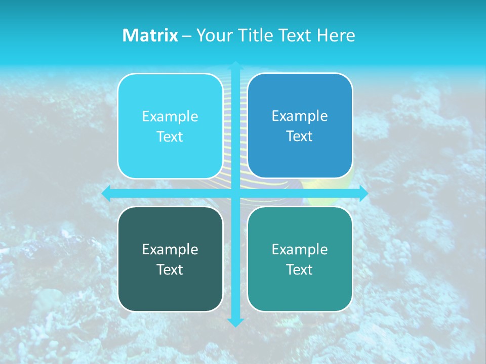 Wildlife Coral Egypt PowerPoint Template