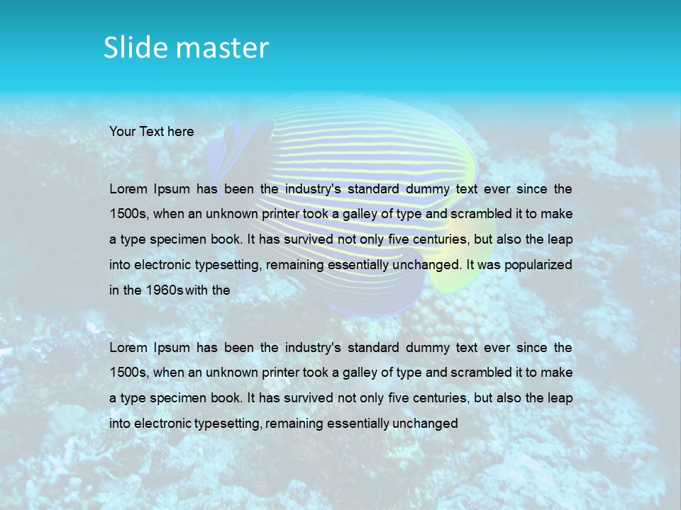 Wildlife Coral Egypt PowerPoint Template