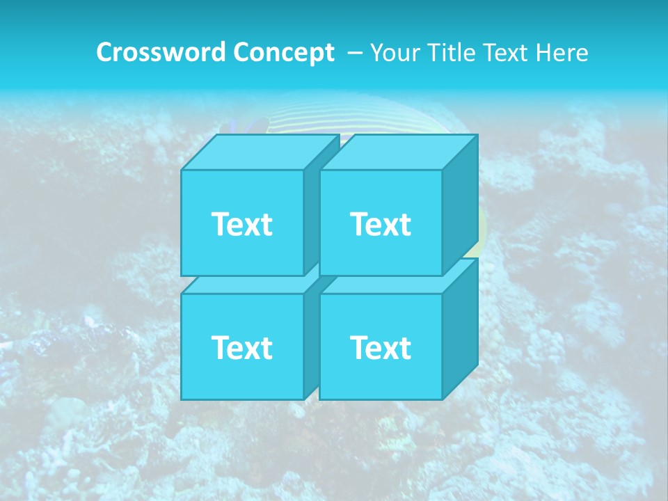 Wildlife Coral Egypt PowerPoint Template