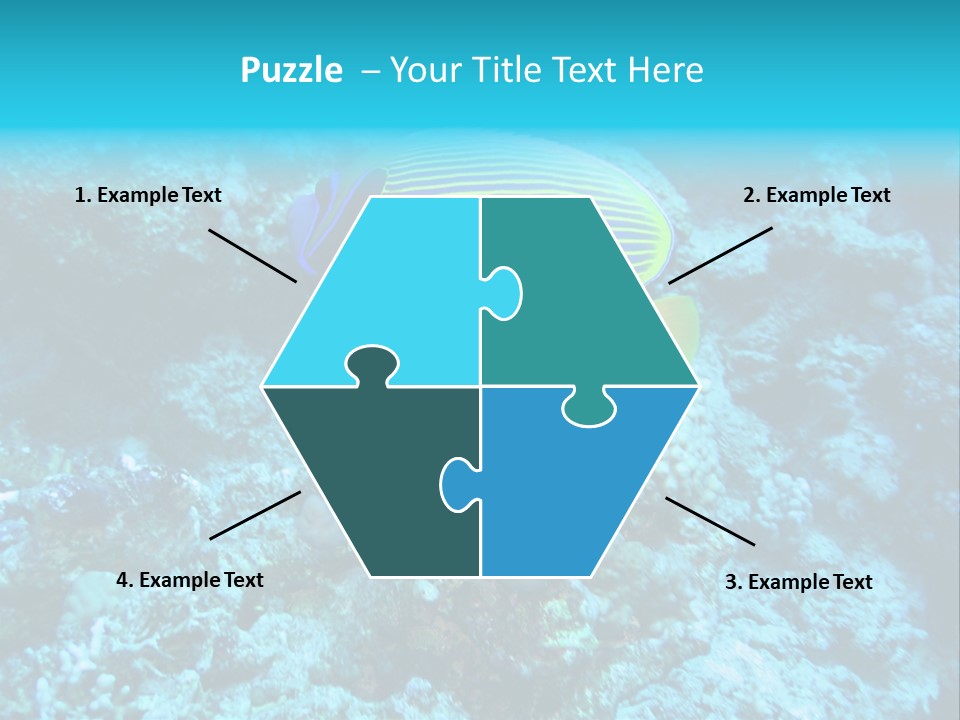 Wildlife Coral Egypt PowerPoint Template