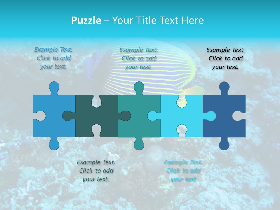 Wildlife Coral Egypt PowerPoint Template