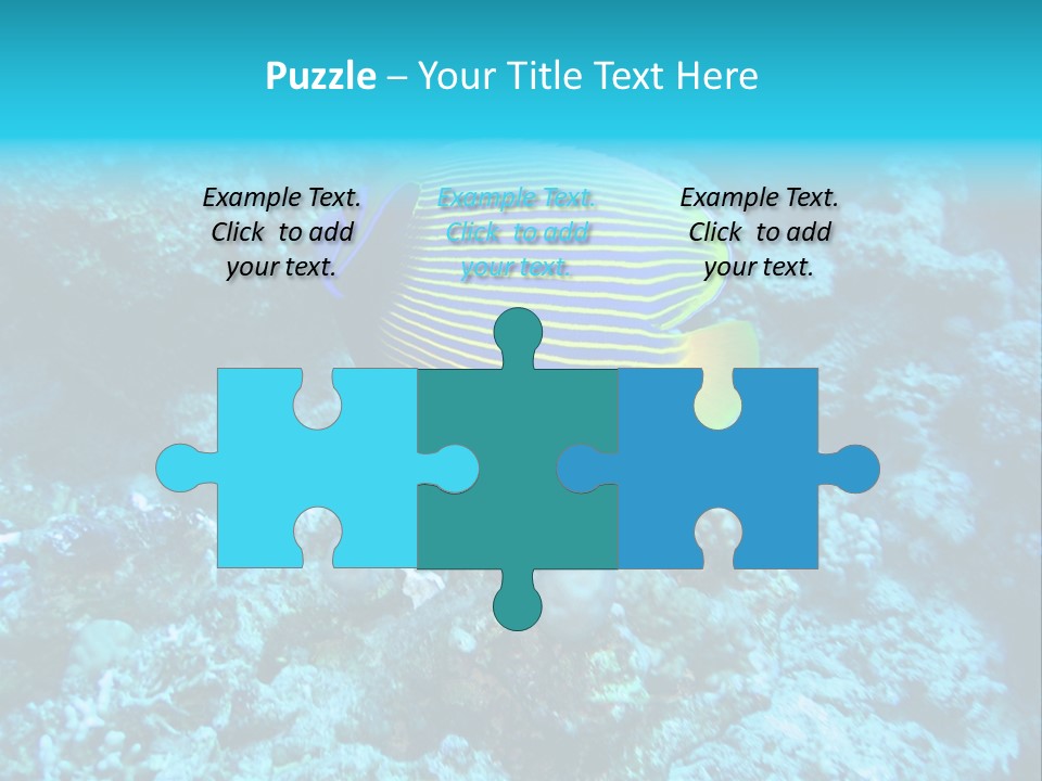 Wildlife Coral Egypt PowerPoint Template