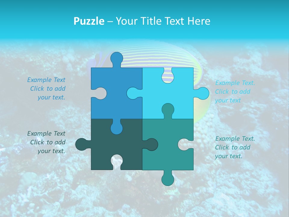 Wildlife Coral Egypt PowerPoint Template