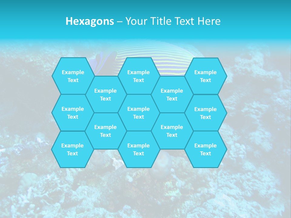 Wildlife Coral Egypt PowerPoint Template