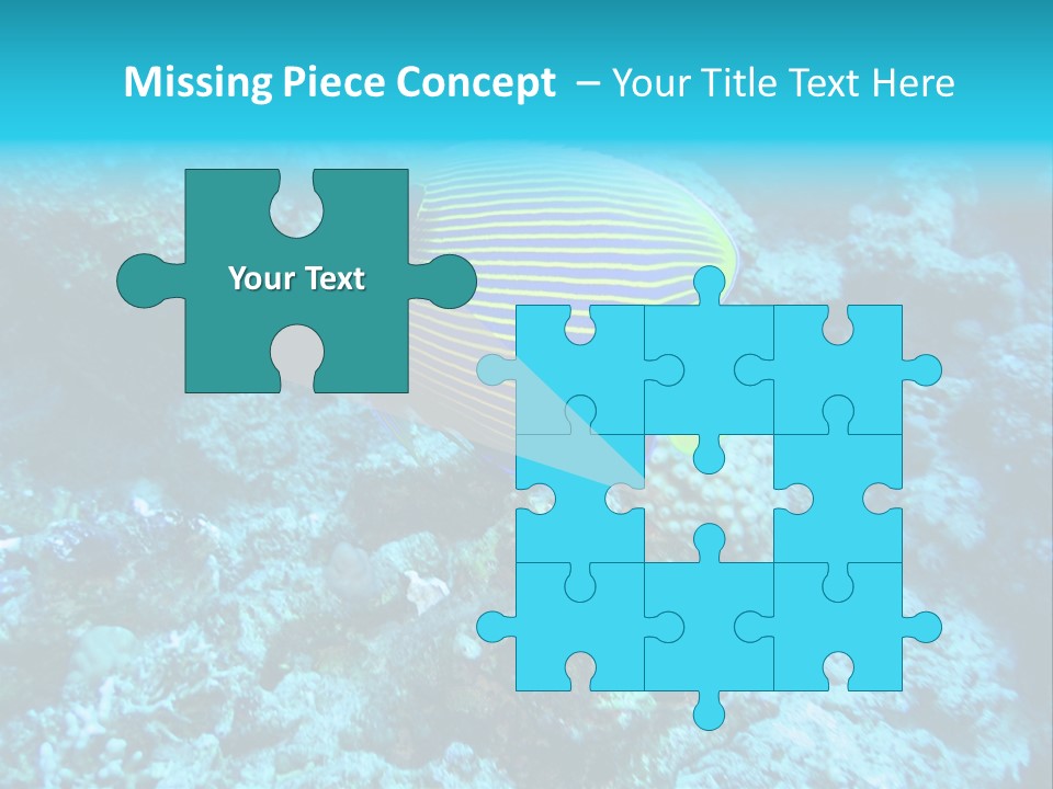 Wildlife Coral Egypt PowerPoint Template