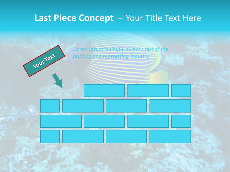 Wildlife Coral Egypt PowerPoint Template