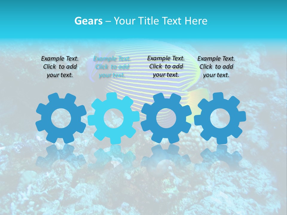 Wildlife Coral Egypt PowerPoint Template