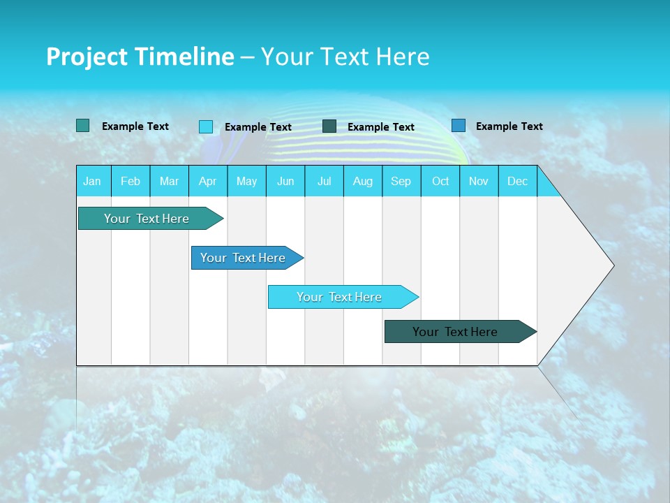 Wildlife Coral Egypt PowerPoint Template