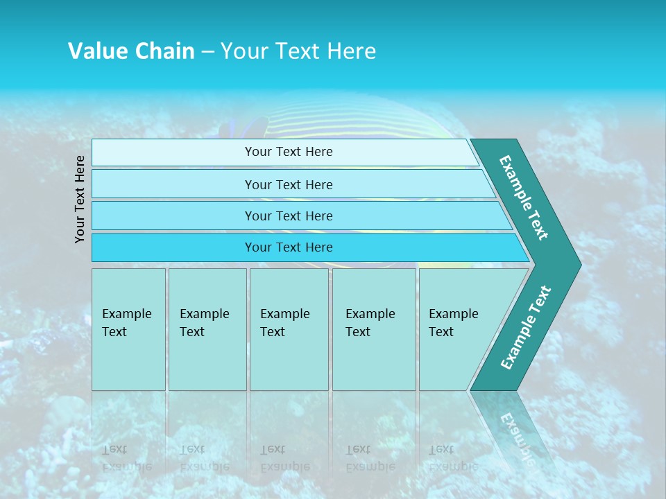 Wildlife Coral Egypt PowerPoint Template
