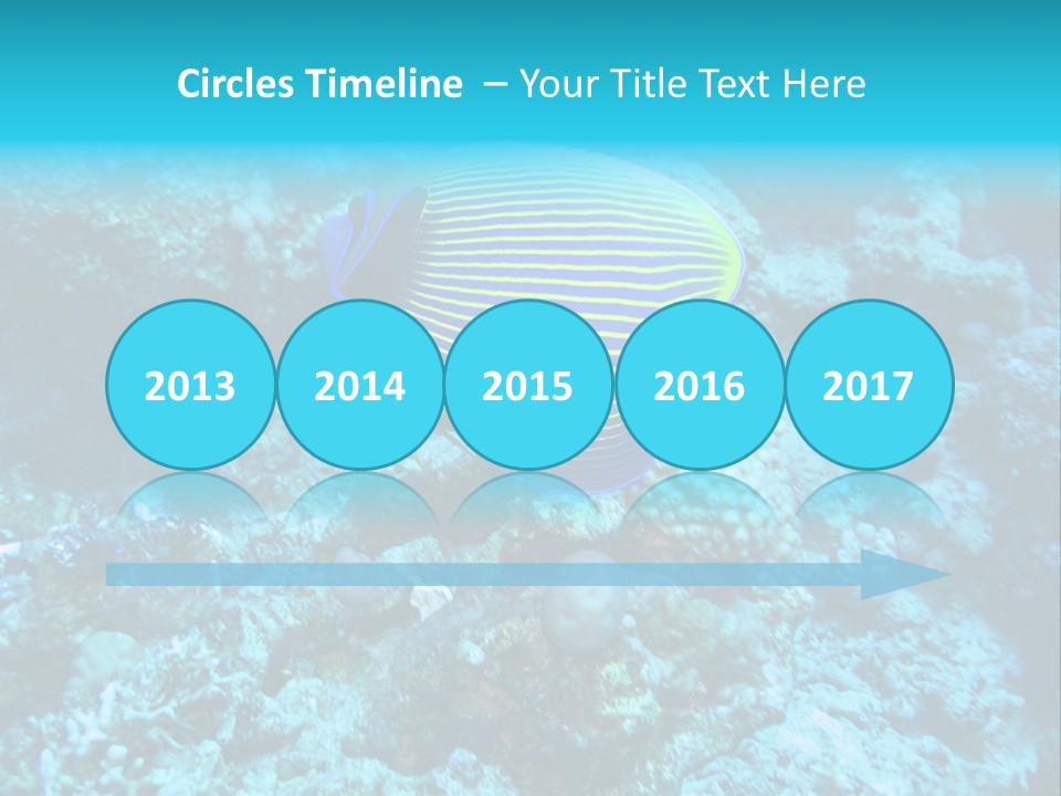 Wildlife Coral Egypt PowerPoint Template