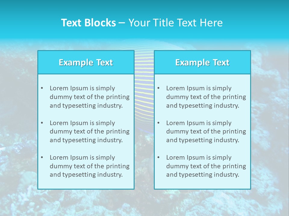 Wildlife Coral Egypt PowerPoint Template